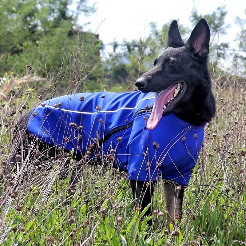 Одежда для собак на открытом воздухе осенняя ветрозащитная и водонепроницаемая
