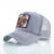 Baseball Caps Men Snapback Hip Hop Hats With Animals Patch Streetwear lovers' Trucker Caps Women Breathable Mesh Visor Bones 15