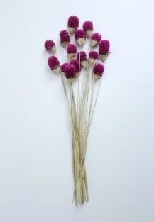 15pcs Purple 15 шт. Рождественский Декор gomphrena букеты сушеные натуральные Цветы Букет gomphrena букеты без вазы - Цвет: 15pcs Purple
