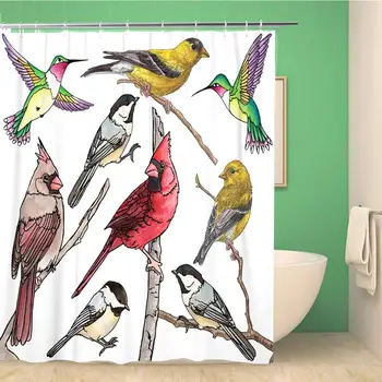 

Bathroom Shower Curtain Watercolor Cardinal Bird Collection Gray Audubon Hummingbird Back Yard Waterproof Bath Curtain Set