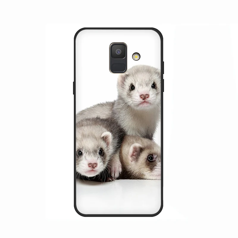 B5 Ferret Горностай мягкий чехол для мобильного телефона чехол для samsung Galaxy A6 7 8 9 A10 30 40 50 70 J6 - Цвет: B5