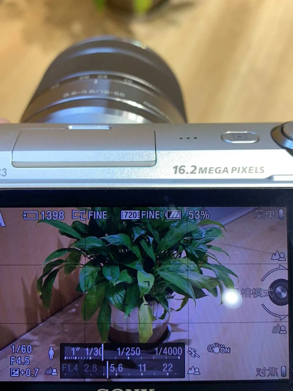 61IGOM3l4+L._SL1000_