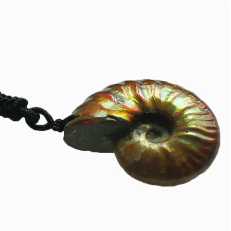 Real Natural Stone Ammonite Pendant Marine Fossil Minerals and specimens Free Necklace Fengshui Reiki Healing Energy Men Gift