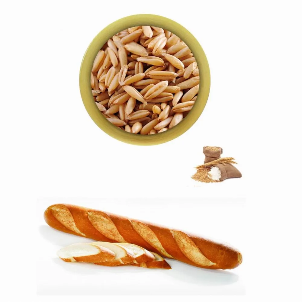 1f4ee259842d589d5c8a78a3dd185bb8