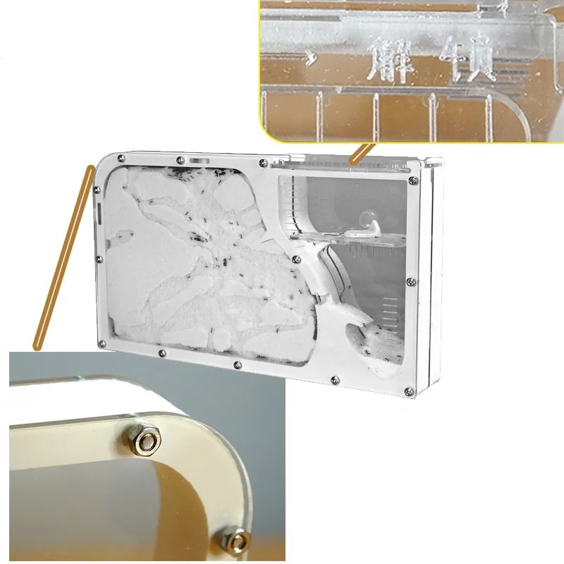 Big-formicarium-Ant-Nest-Ant-Farm-Acrylic-Insect-ants-house-Ecological-Workshop (2)