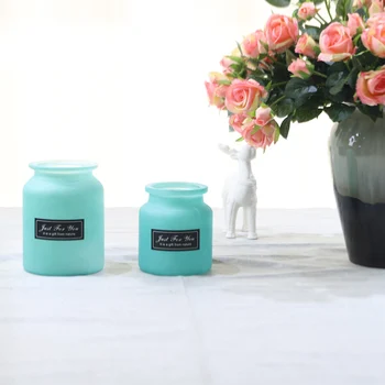

Mini Glass Vases Hydroponic Container Home Decoration Simple Inkjet Color Vases JS22