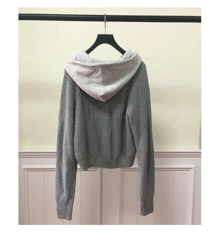 Women Hoodie2019 Autumn and Winter New Hooded Pullover Woolen Sweatshirt Knit Top Sweatshirt