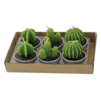 

Artificial Succulent 6pcs Plants Cactus Candle For Birthday Party Wedding Site Decoration Candlelight Decorative Accessories