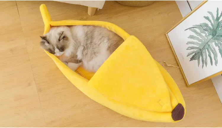 12670798107_2079131725