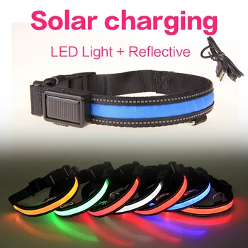 

Solar Recargable Dog Collar LED Light Night Safety Reflective Collar Perro Luz Buckle Dog Collars For Dogs Collar LED USB