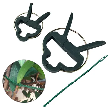 

Greenhouse Accessories Stalks Reusable Fastener With Twist Tie Support Stems Flower Vegetables Grape Plant Clip Set Tool Vines