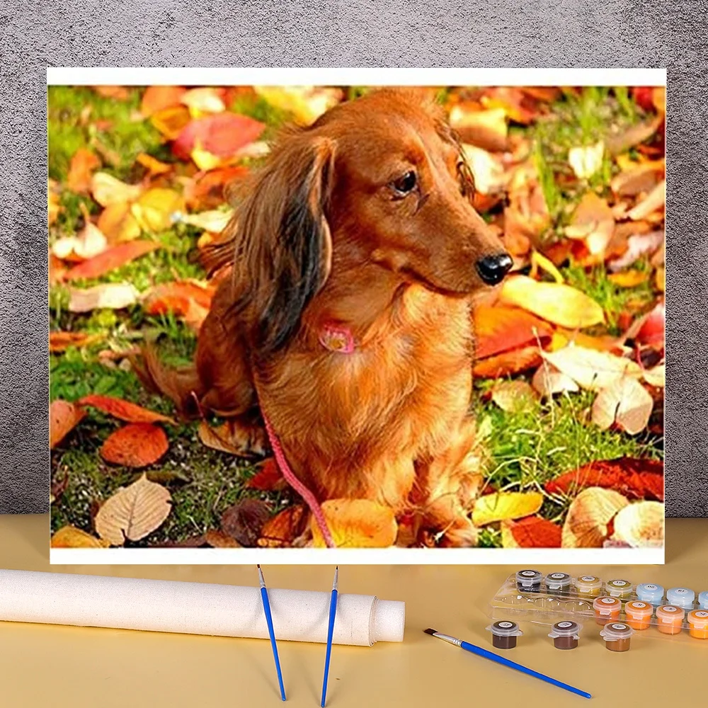 動物犬ダックスフント数字で絵画セットオイル塗料40 50でキャンバス新デザイン大人のためのアート Aliexpress ホーム ガーデン