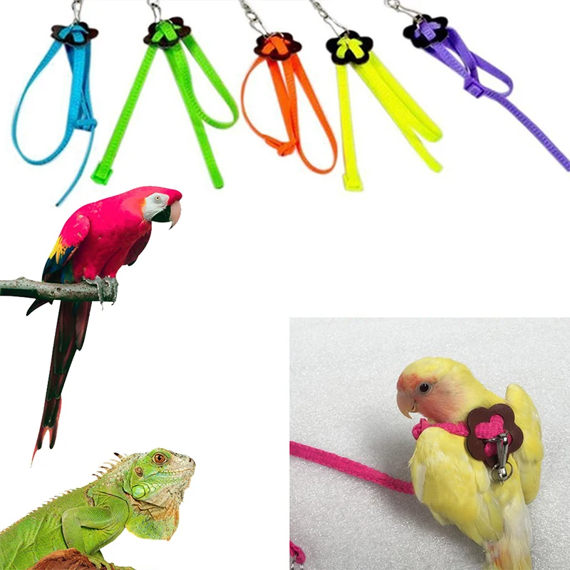Correa de tracción para mascotas, correa de entrenamiento de mordida para exteriores, arnés ajustable para pájaros para hámster y Lagarto
