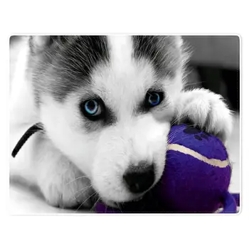 

HommomH Blanket Soft Comfort lightweight well made Nap Sofa Bed Travel Warm Plush Throw Cute Husky Purple Pet Ball