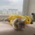 Милый Косплей Костюм Кошки Домашнее Животное Собака Одежда для Щенка Мультфильм Котенок Толстовки Кошка Пижамы Зимние Кошки Собака Пальто Толстовка disfraz gato