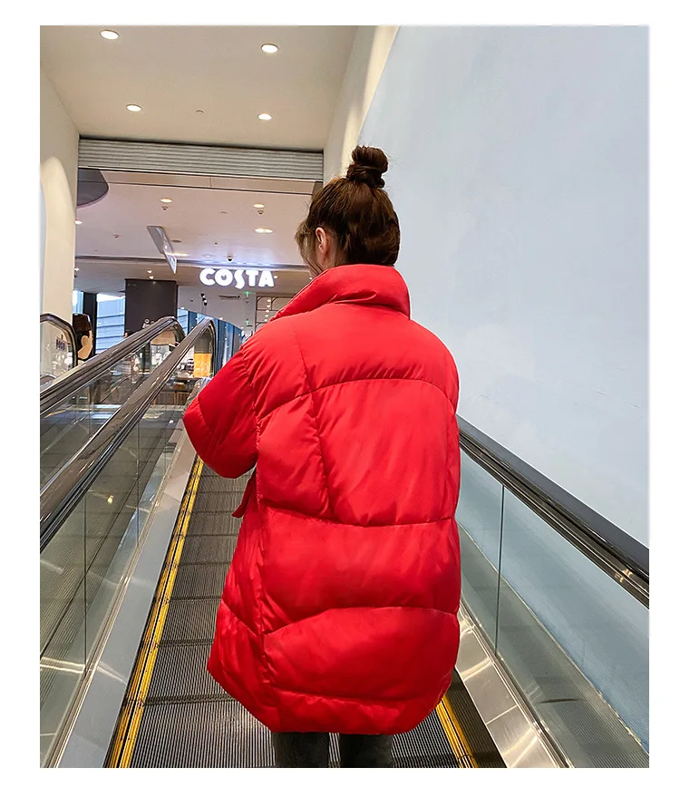 Cotton2_12.jpg