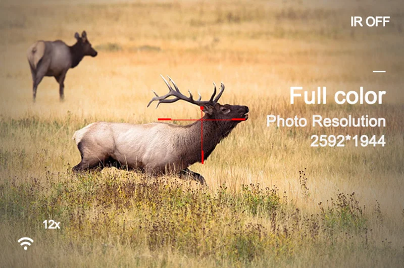 H9aecfd15653c45f5b8b4be8fd778e625E