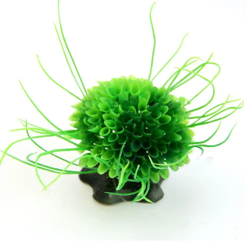 UQ1511342089_ZYB90 (12)