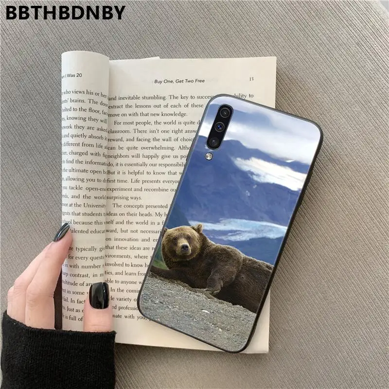 Bear