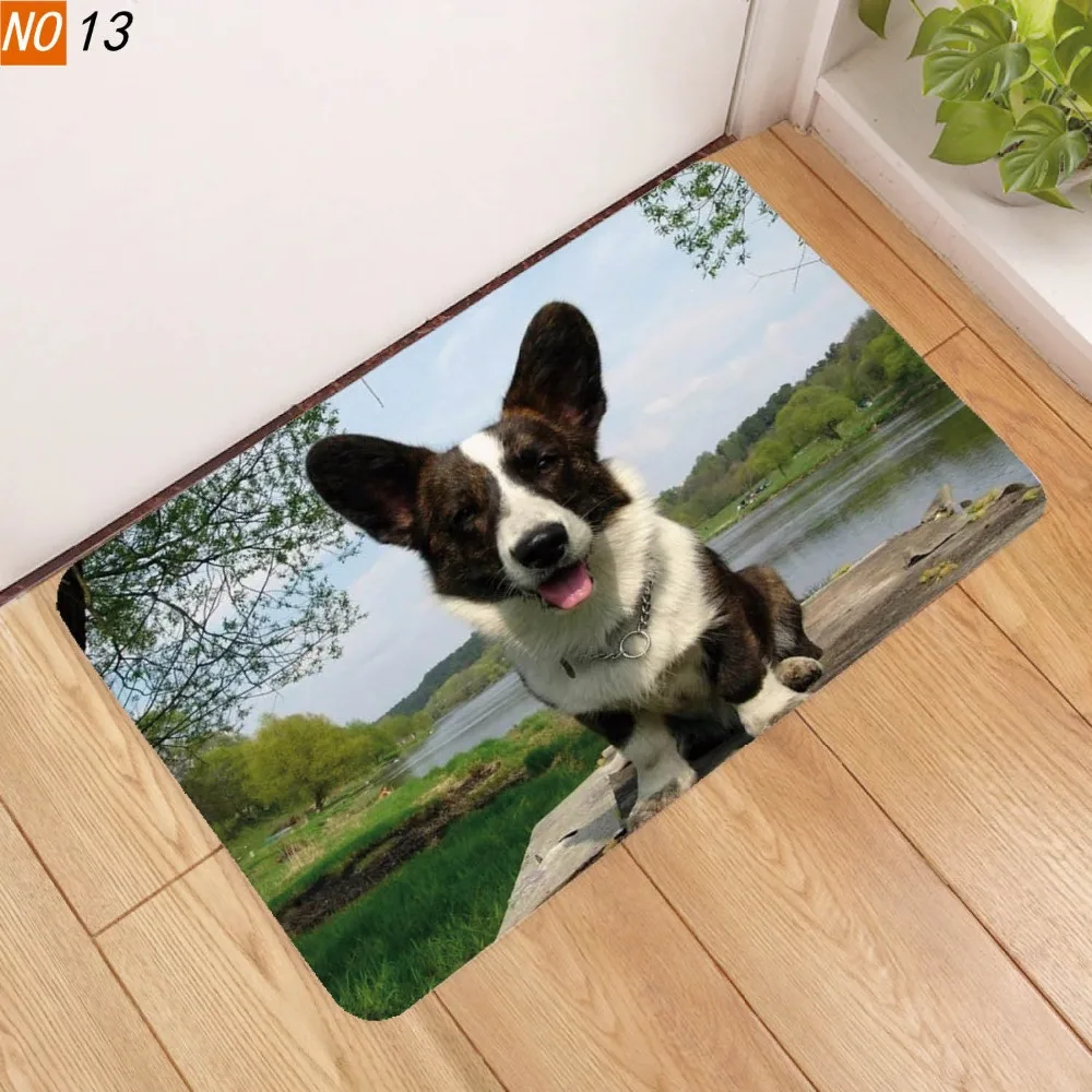 SKU图片_11203779381_577433722