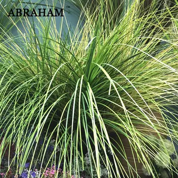

68cm Plastic Onion Grass Large Artificial Plant Fake Reed Leaves Green Foxtail Grass Real Touch Leaf For Home Wedding Shop Decor