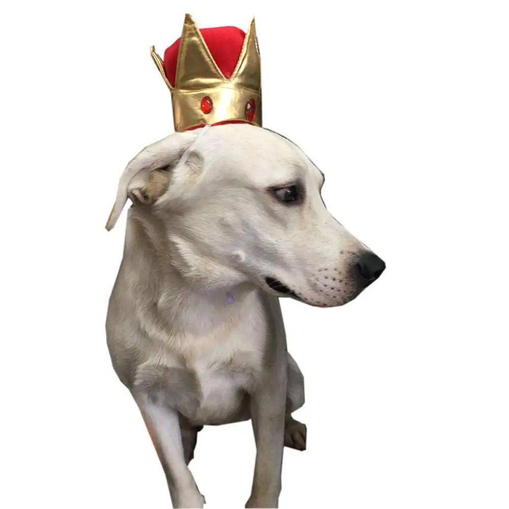 Горячая шляпа для животных собака корона дизайн домашних на день рождения мягкая