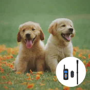 

1 PC Collar Dog Puppy Stopping Barking Buzzer Vibration Training Collar Pet Supplies Remote Control Collar