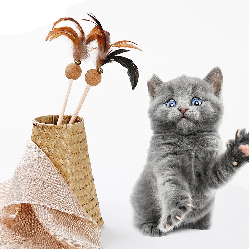 Игрушки для кошек, эластичные перья, забавные кошки-мышки, форма, виды забавных перьев, весенние детские игрушки для кошек, игры, игрушки для домашних животных, обучение CWJWJ81