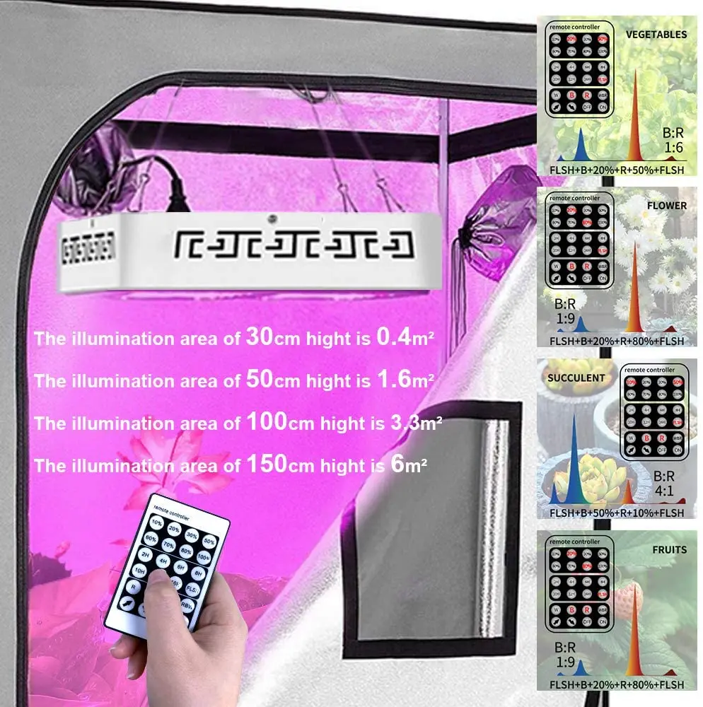 71CrSFYWTUL._AC_SL1000_