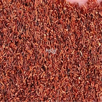 

Prodgf 500pcs A Set Trevesia palmata