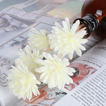 

10Pcs/set Rattan Artificial Sola Flower for Fragrance Rattan Sticks DIY Home Decor Aromatherapy Accessories for Reed Diffuser