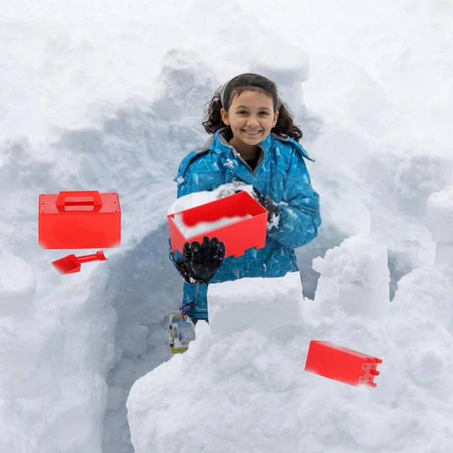  Flexible Flyer Snow Fort Building Block, Sand Castle Mold,  Beach Toy Brick Form, 1 Mold (605) : Toys & Games