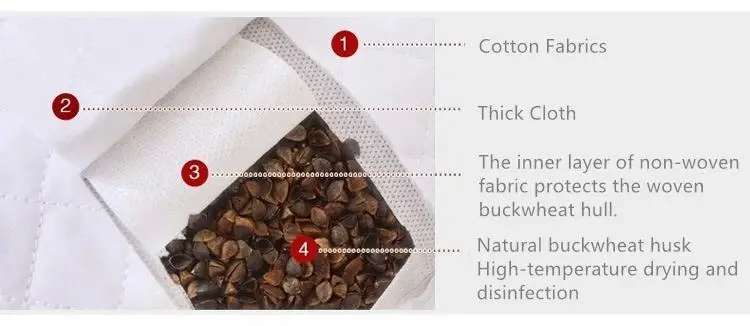 3238976567_954877058_副本