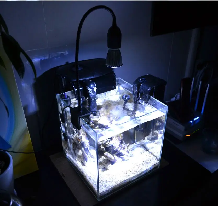 free customize led plant light clip light with E27 lamp holder gooseneck clamp lamp bracket for nano tank reef coral