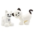Two white cat