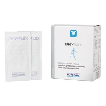 

ERGYFLEX (COLLAGEN GLUCOS CONDR HIALUR MSM CURC... 30 SACHETS NUTERGIA