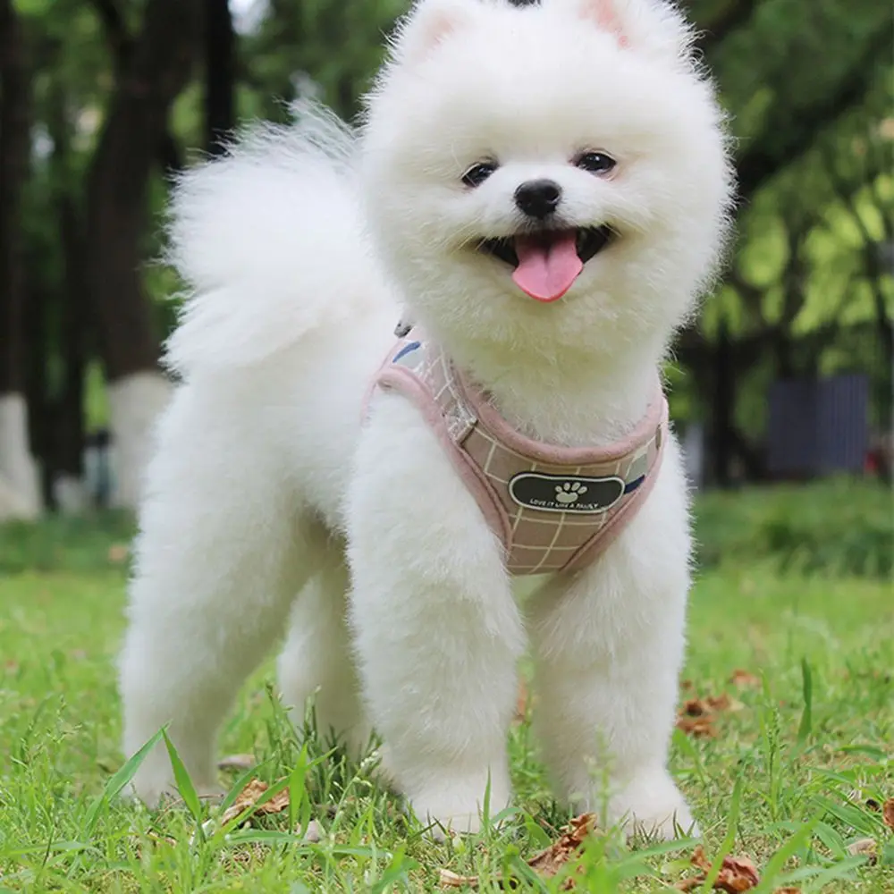 Breathable Vest Adjustable Traction Walking Lead Comfortable Pet Leash Keep Your Safe Dog Harness Chihuahua Collar Chest Straps