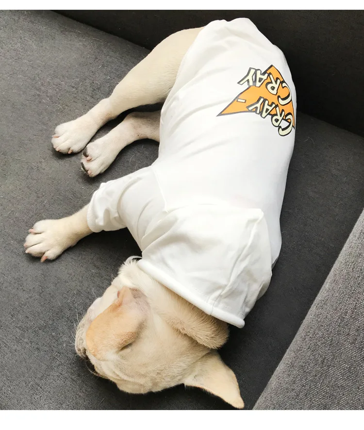 9108650363_235617381