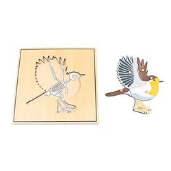 Educational Wooden Animal Skeleton Puzzle for Children - Montessori - Inspired Biology Learning Toy (Bird)