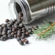 Засушенный натуральный весь ягоды можжевельника пивоварения растительного и традиционного специй оптом