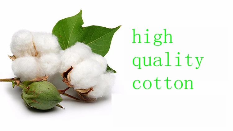 8496036482_859322935_