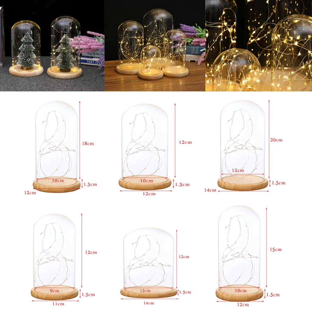 Glass Display Dome Cloche With Suspended LED Fairy Lights Xmas Birthday Gift