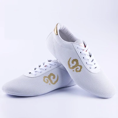 Men Women Sport Chinese Kung Fu Shoes Lightweight Man Sport Traditional Tai Chi Shoes Black Women Match Martial Arts Shoes White-Mesh