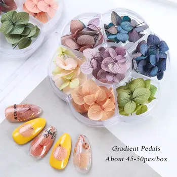 

Dried Flowers DIY Epoxy Resin Handmade Crafts Filling Materials