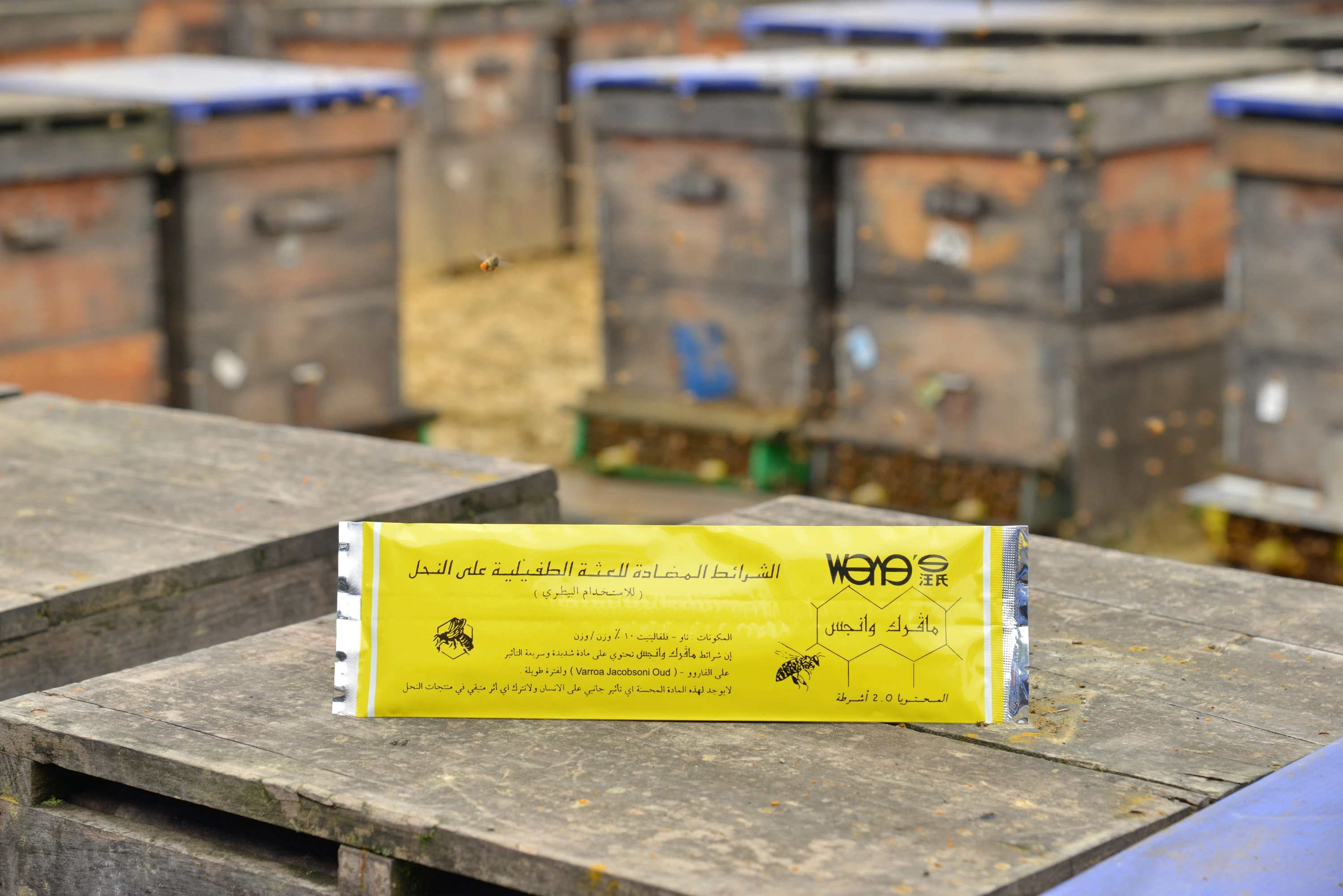 Wangshi Arabic Mid-East Manpu 20 Strips beekeeping Apiculture Varroa Treatment Beekeeping Supplies for Bees