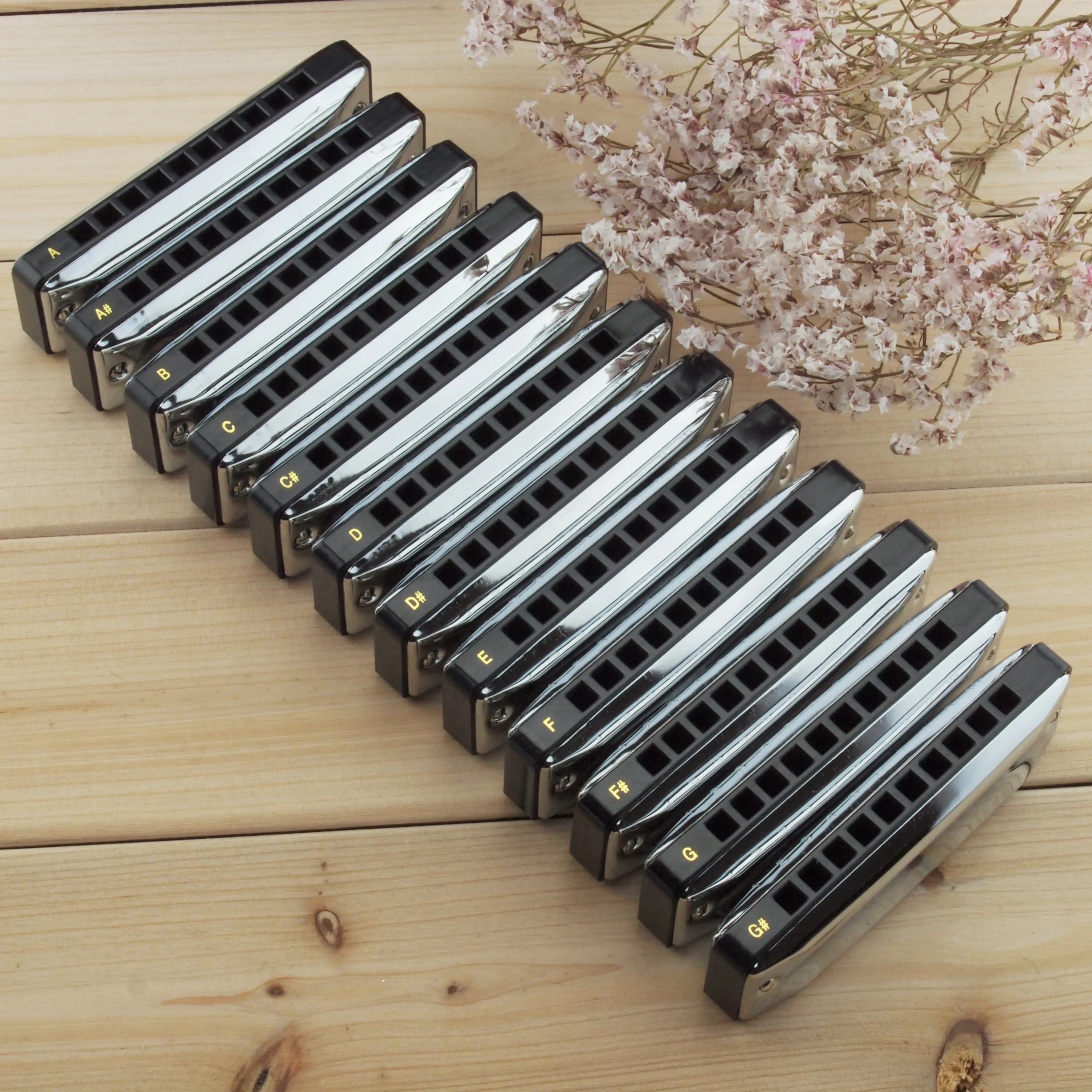 Easttopbluesharpsetprofessional10holeharmonicasetwith12keys