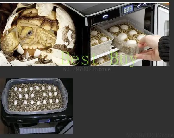 LK689 40 W/50 W 12 V/220 V-240 V Хамелеон ящерица черепаха инкубатор коробка Портативный Профессиональный инкубатор для рептилий термостатная коробка