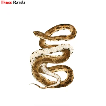 

Three Ratels FC523 4861 Eastern Pine Snake car windshield stickers road bike decal