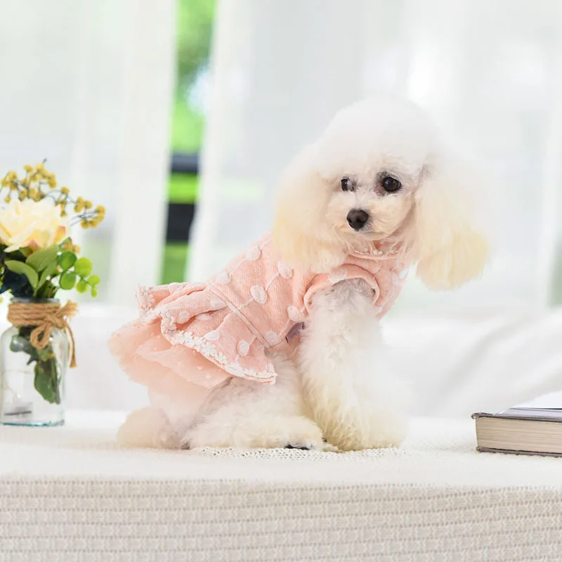 Голубое, розовое, Размеры S-xl, теплое платье принцессы для собак, осень и зима, два фута, платье для домашних животных, зимняя одежда для собак, кружевное платье