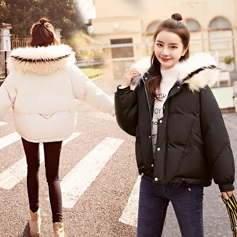 

2019 Winter New Style WOMEN'S Dress down Jacket Cotton-padded Clothes Thick Coat Short Puffy Versatile down Coat Cotton-padded C